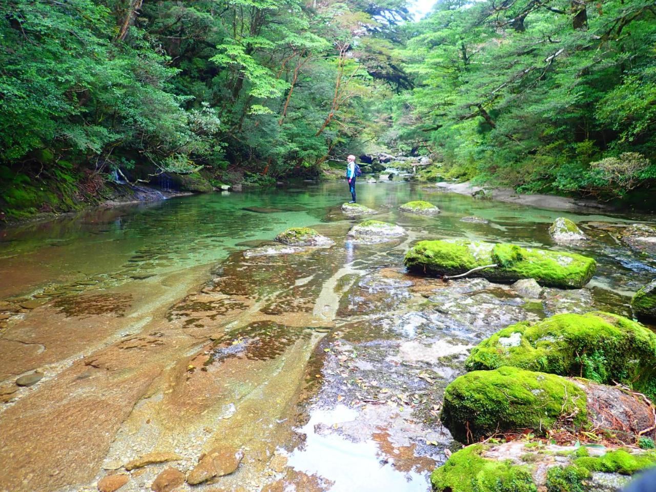 Yakushima Cottage Morino Fairy All Cotage With Open-Air Bath Exterior photo