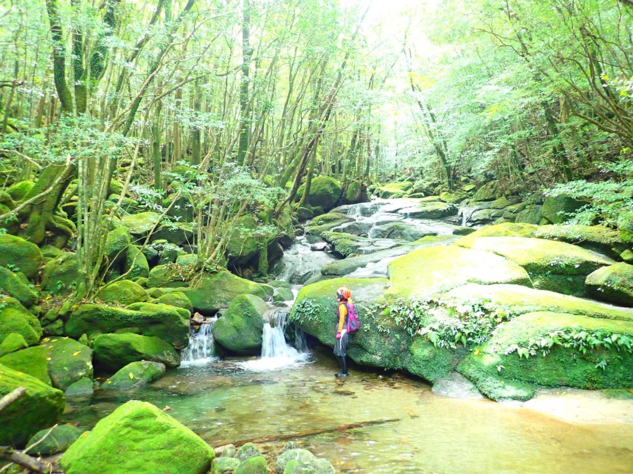 Yakushima Cottage Morino Fairy All Cotage With Open-Air Bath Exterior photo